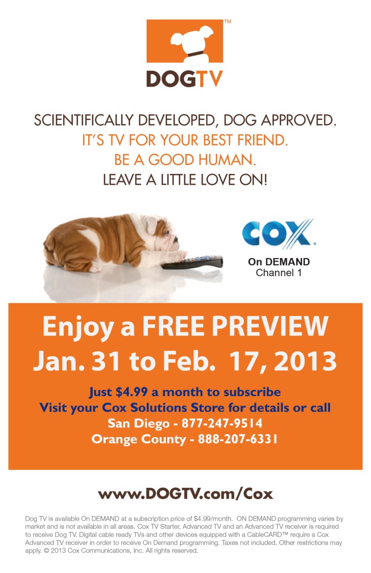 Dog Cox Launch Flyer