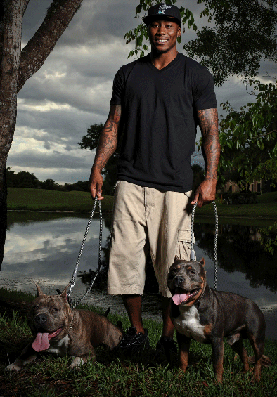 Brandon Marshall wide receiver for the Chicago Bears with his two PitBulls <3