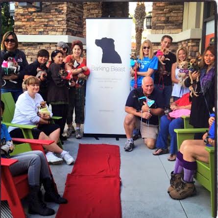 barkingbeast red carpet