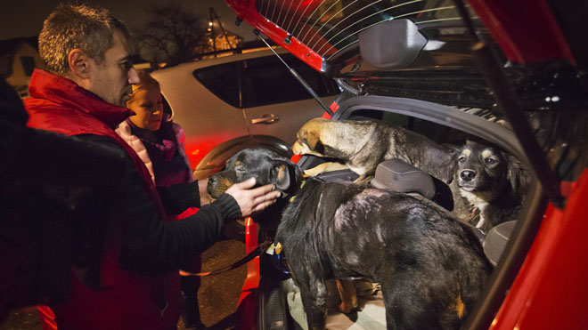 Yulia Krasova, Igor Airapetian