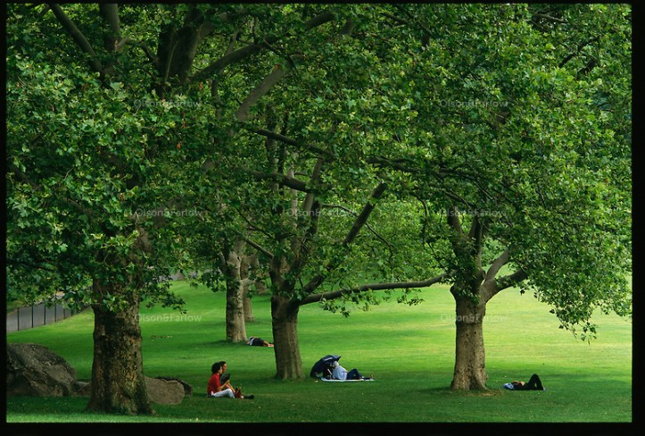 scanned on 8200. retouched by nicole elliott.