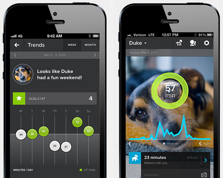 WhistleActivityMonitor3