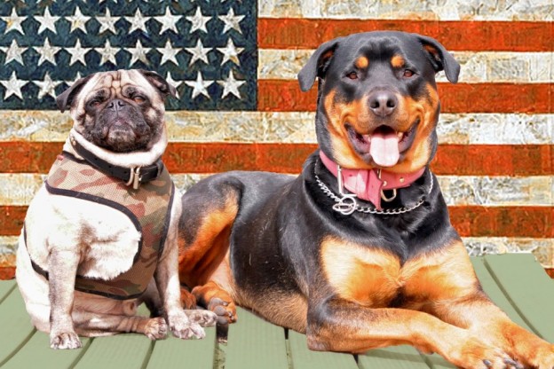 Mr-Big-And-Diva-624x416