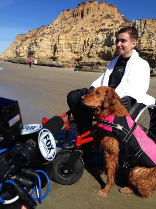 Ricochet the surfing dog surfs with dogs for charity and The Make a Wish Foundation 
