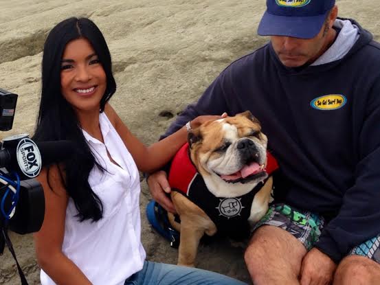 Dozer San Diego's Surfing Dog
