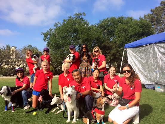 Inside the world of flyball with San Diego's very own the Ballistic Racers flyball team 