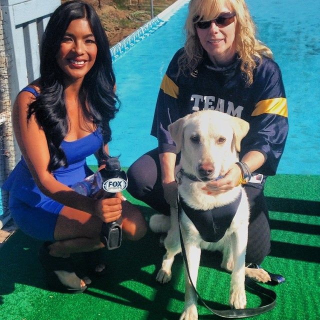 Canine Dock Diving with Oceanside's Beach City Dogs