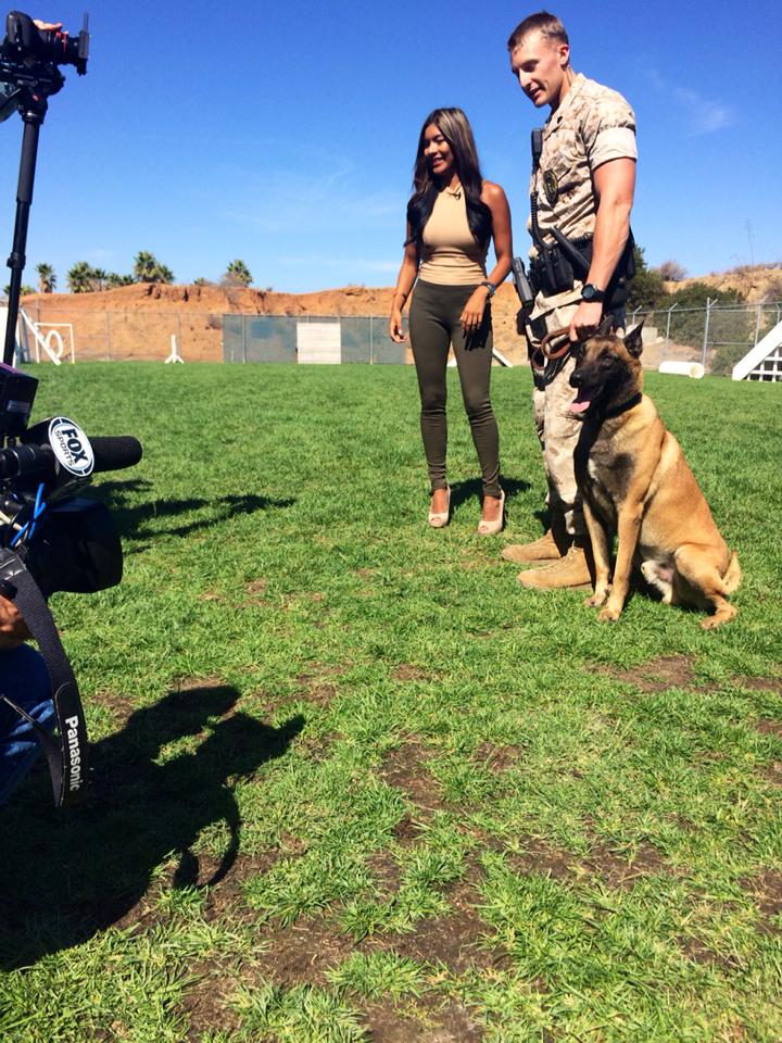 Camp Pendleton Military Canines 