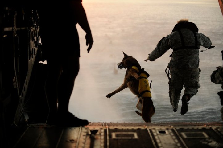 Making a practice jump with soldiers of the 10th Special Forces Group over the Gulf of Mexico