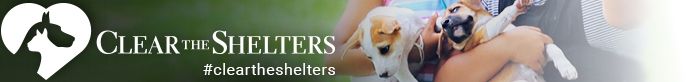 cleartheshelters_feature_header