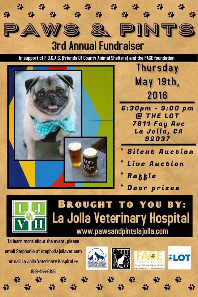 paws n pints.jpg