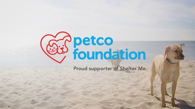 petcofoundation